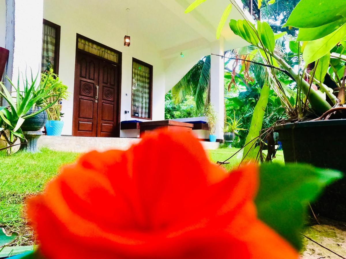 Mountain Seaview Cabanas Tangalle Eksteriør bilde
