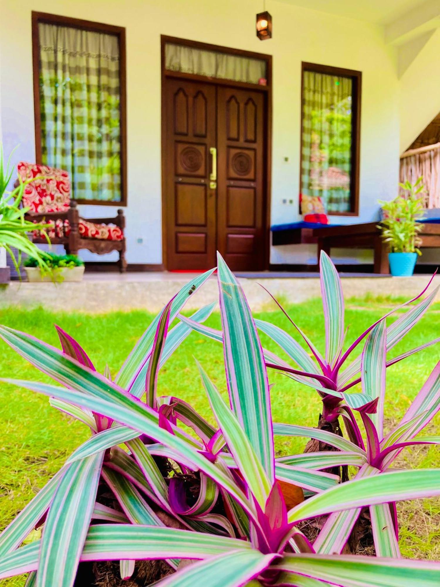 Mountain Seaview Cabanas Tangalle Eksteriør bilde